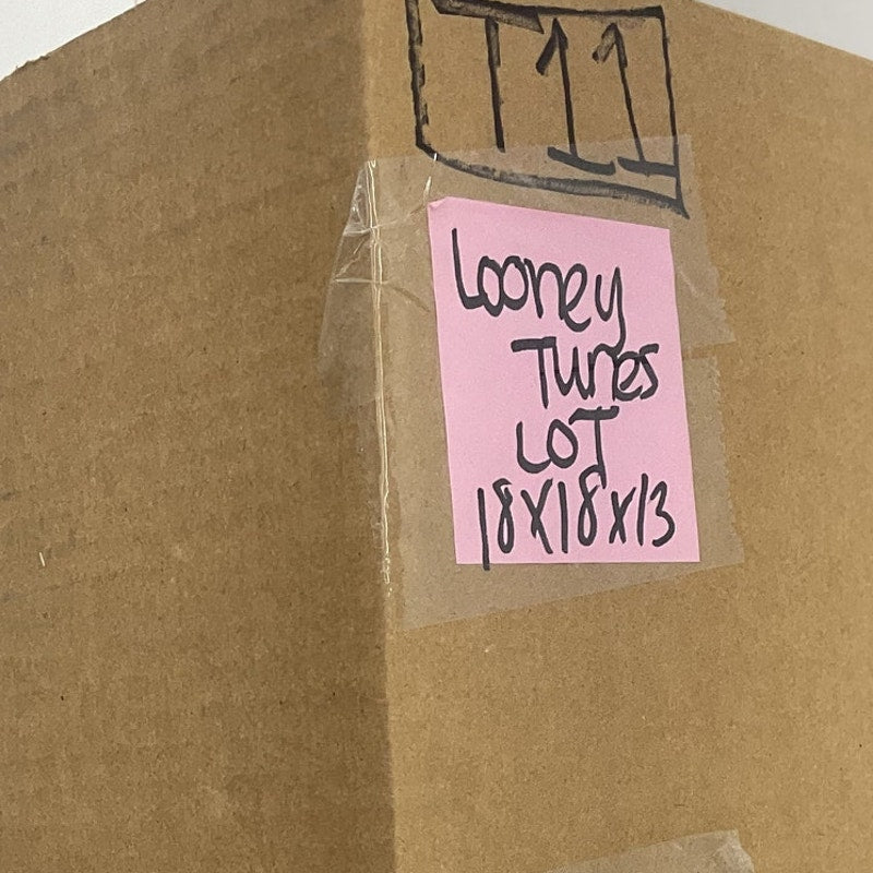 8+ LBs Lot Vintage Looney Tunes Plush Stuffed Animals Bugs Taz Tweety Pre - Owned - Warehouse Toys