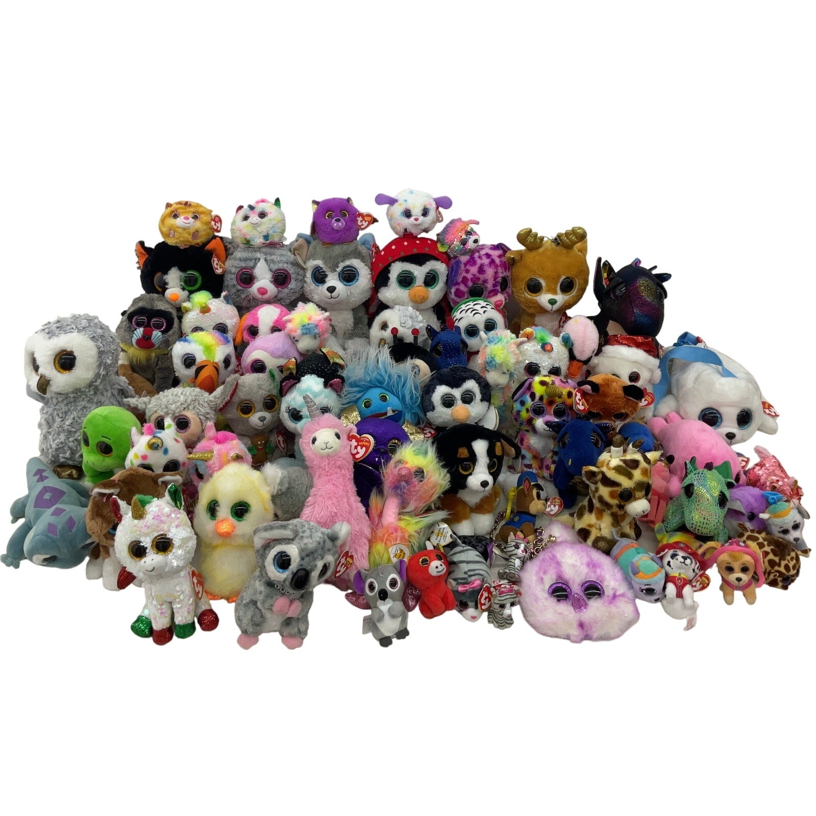 Ty 2024 Beanie Babies Lot