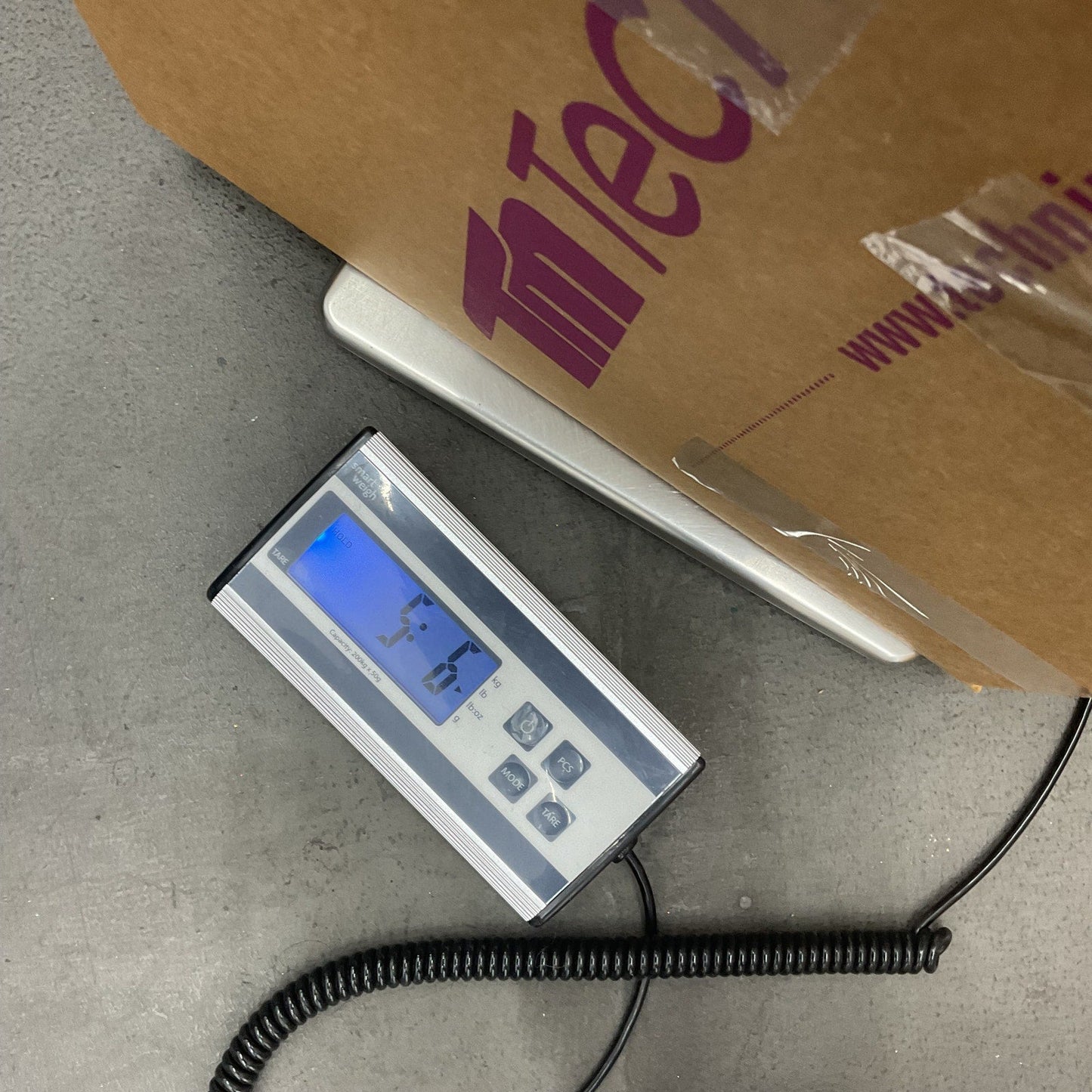 Mighty Star Green Vintage Jumbo Sized New Zoo Revue Freddy Frog Plush Doll - Warehouse Toys