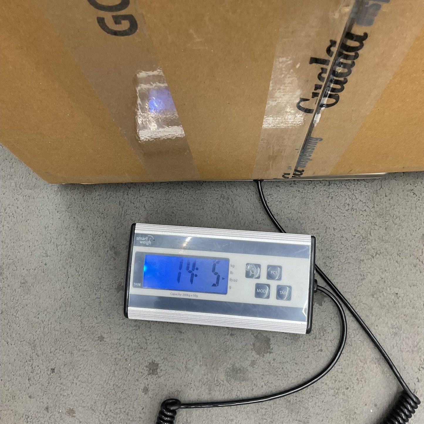 Preowned LOT 14 lbs Pokemon Stuffed Animals Typhlosion Primal Groudon RARE - Warehouse Toys