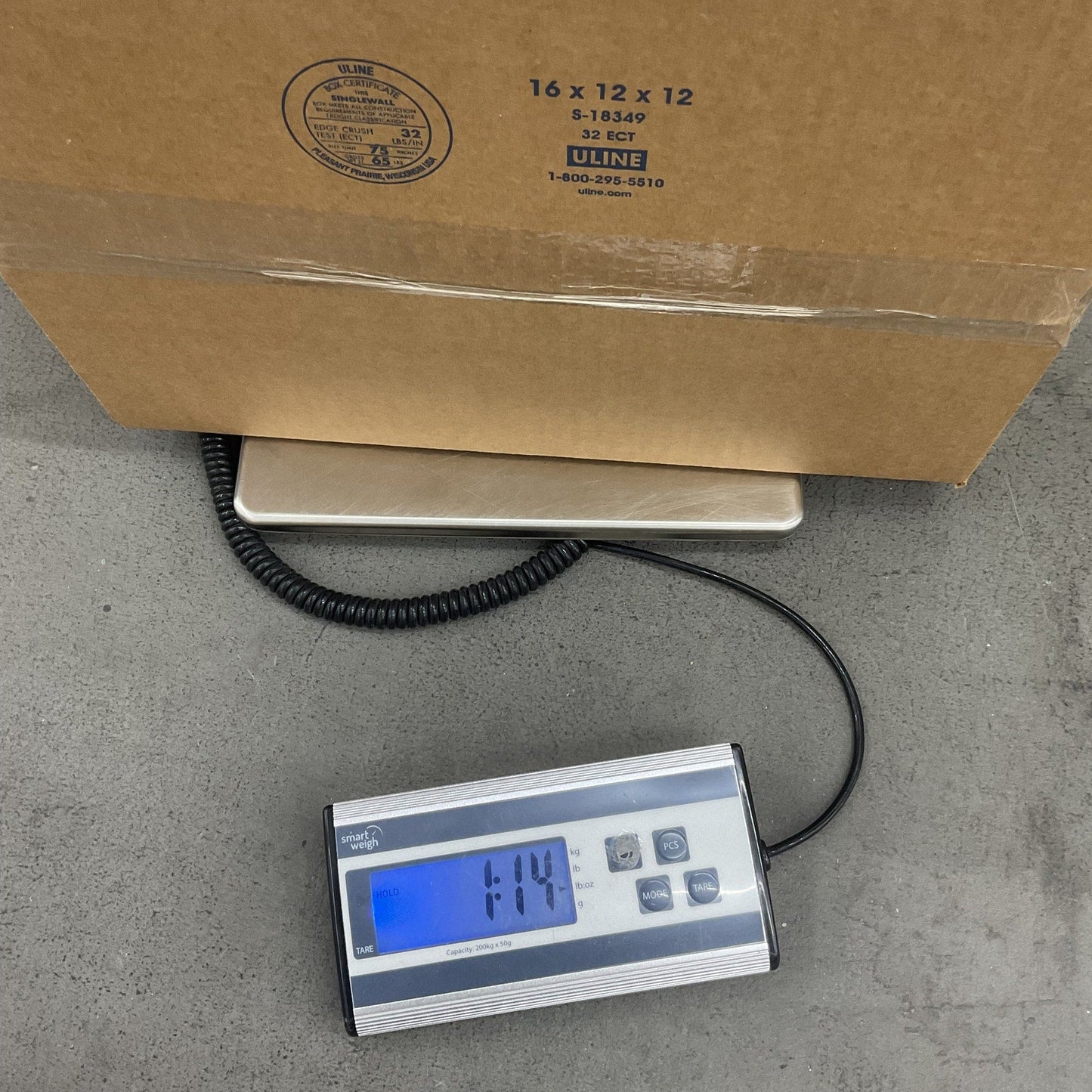 Vintage Preowned 1998 Looney Tunes Taz Tazmanian Devil Brown Stuffed Animal Toy - Warehouse Toys