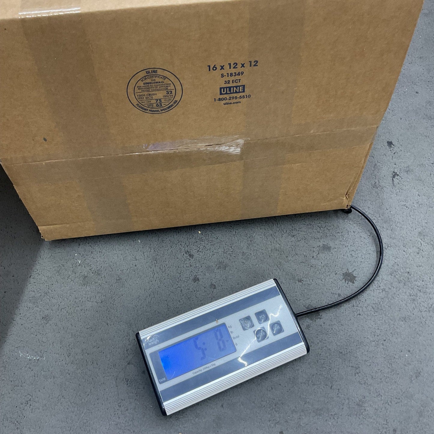 Vintage Russ Asterix Obelix Snuggle Bear Lots A Legs Caterpillars Novelty Plush - Warehouse Toys