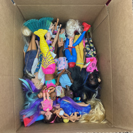 10 Pounds Various Dolls Barbie Mattel Ken and Accessories Bundle wholesale Bulk - Warehouse Toys