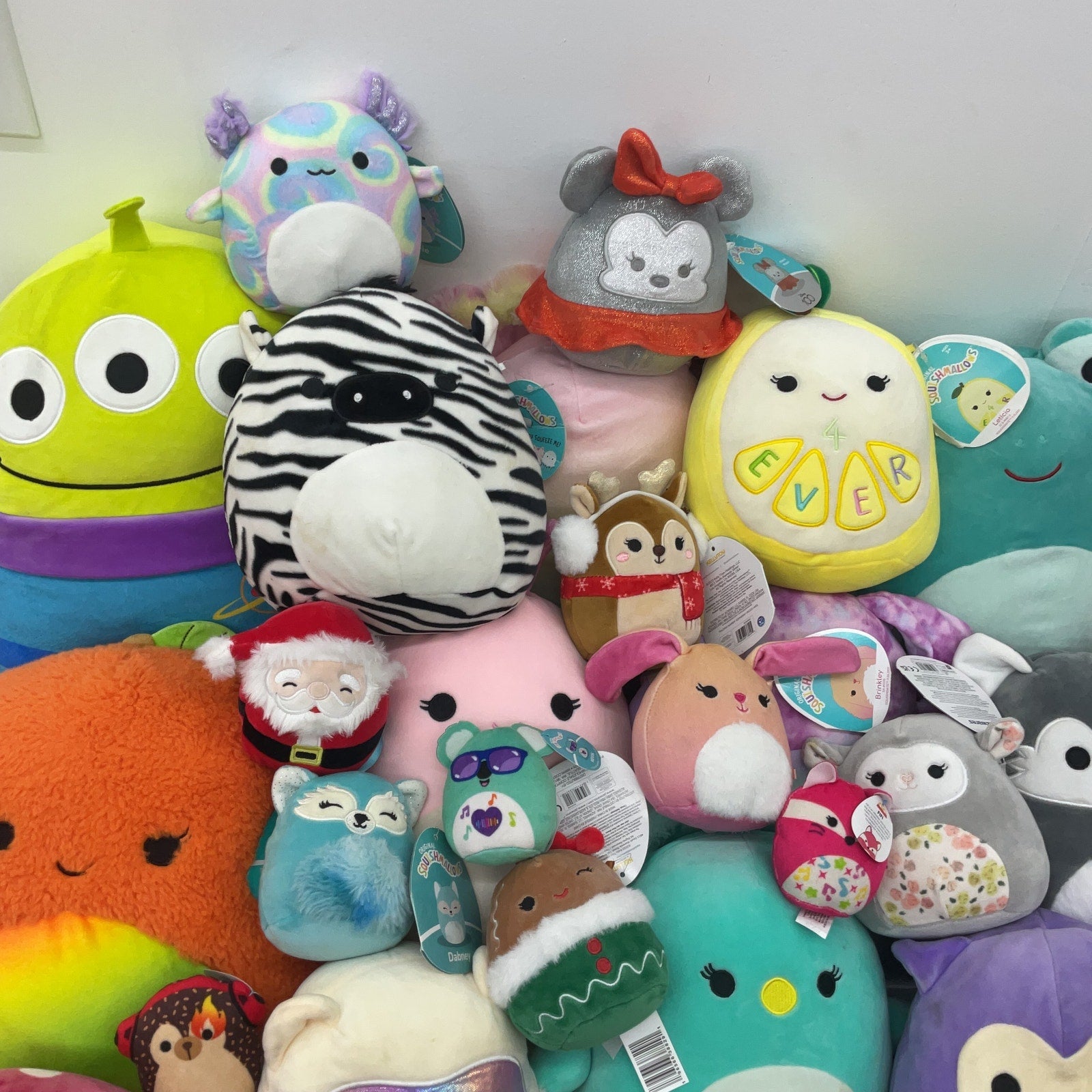 Squishmallows authentic Big Lot