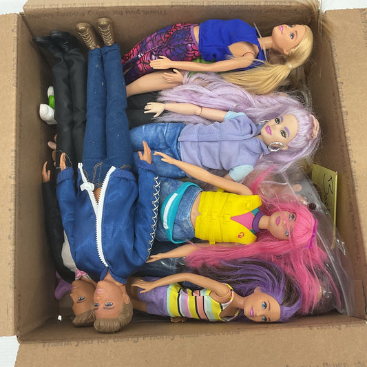 5 Pounds Mixed Lot of Fashion Dolls and Accessories Barbie Wholesale Bulk Doll Lot - Warehouse Toys