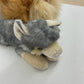 CUTE LOT 2 Plush Gray Brown Dogs Stuffed Animals Miyoni by Aurora Pomeranian - Warehouse Toys