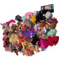 HUGE 37 lbs LOT MGA LOL OMG Surprise & Others Fashion Play Dolls Loose Mixed - Warehouse Toys