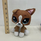 Littlest Pet Shop Stuffed Animals Random Mixed Preowned LOT 3 lbs CUTE Cats Dogs - Warehouse Toys