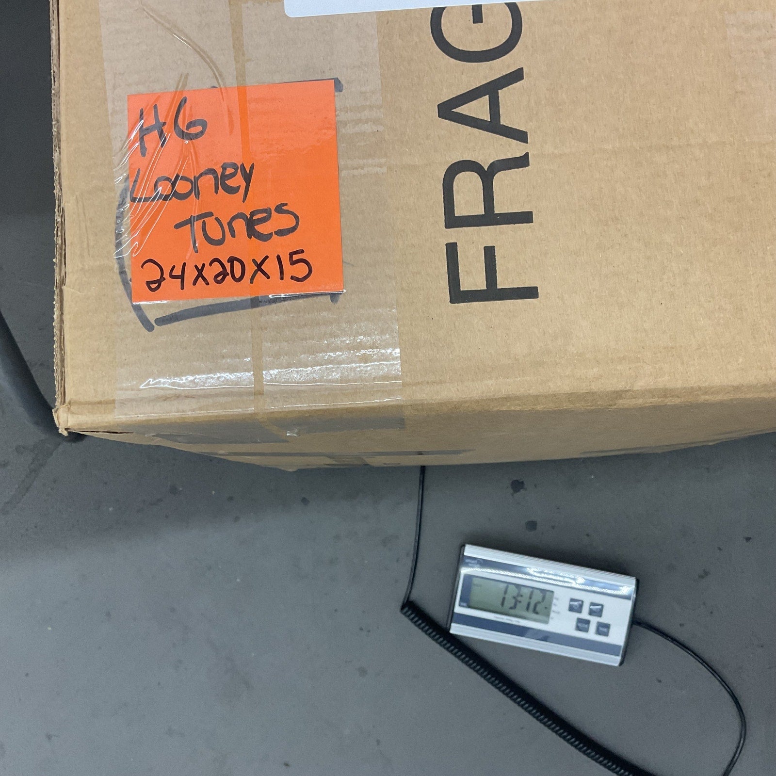 Looney Tunes Tweety Bugs Yosemite Sam Multicolor Stuffed Animal Lot - Pre - Owned - Warehouse Toys