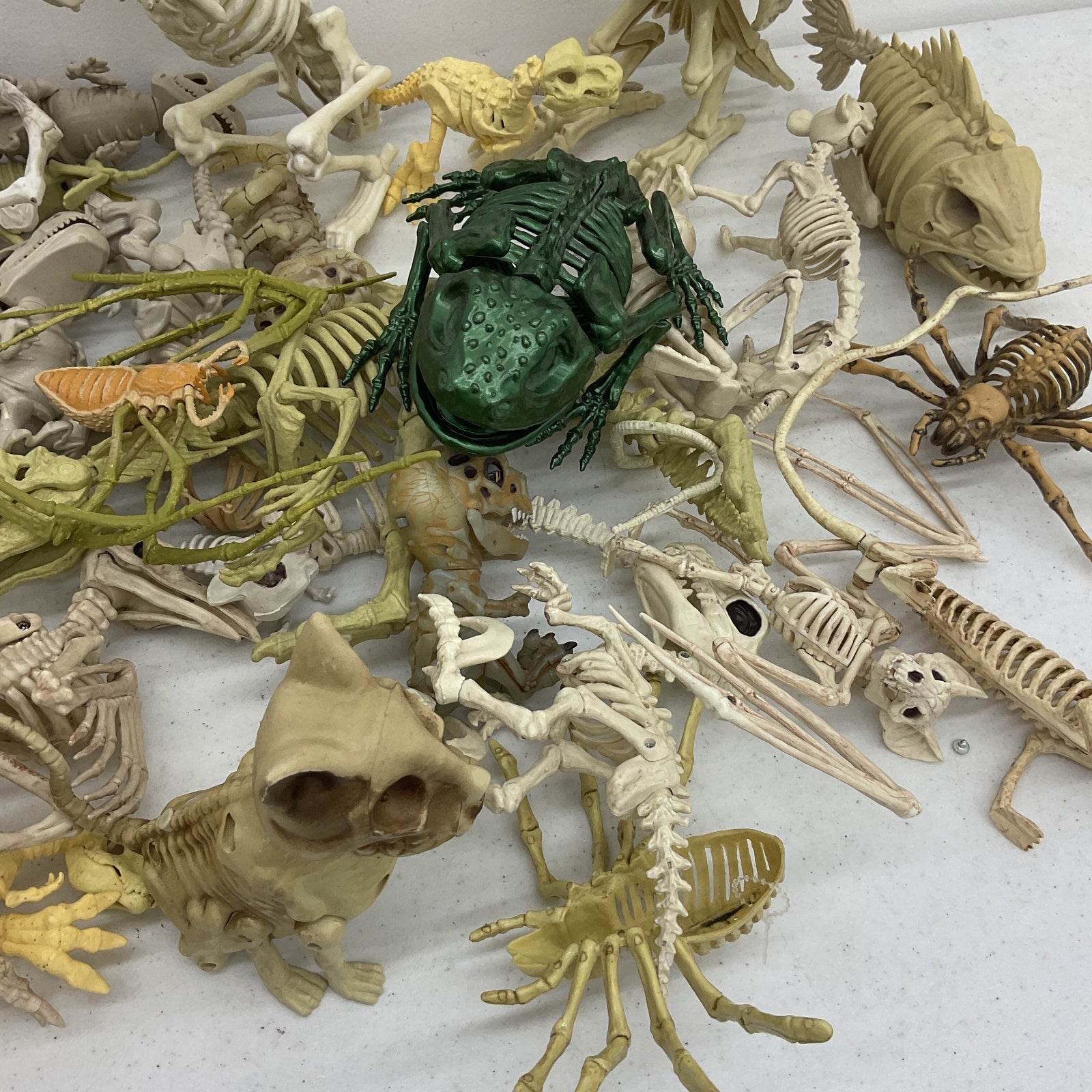 LOT Assorted Animal Fossil Skeleton Skeletal Halloween Model Figures Bones Toys - Warehouse Toys