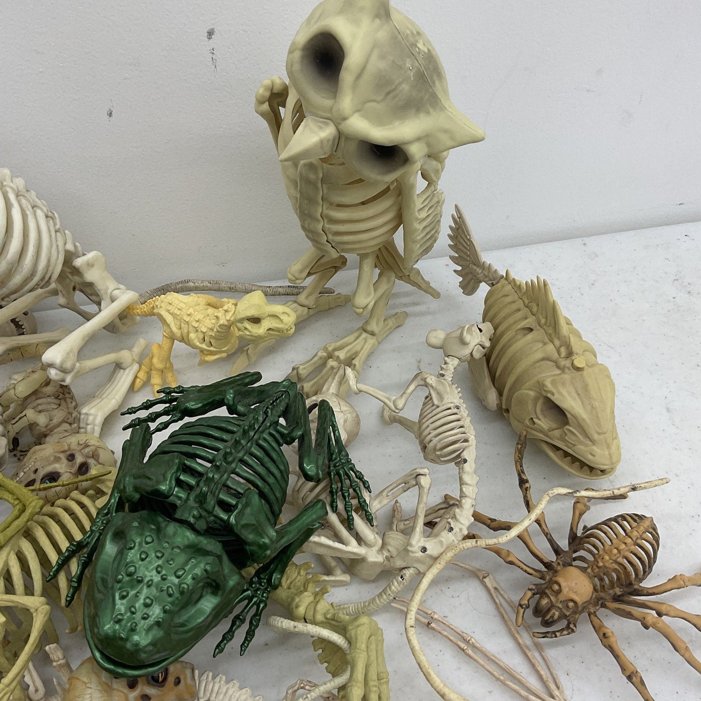 LOT Assorted Animal Fossil Skeleton Skeletal Halloween Model Figures Bones Toys - Warehouse Toys