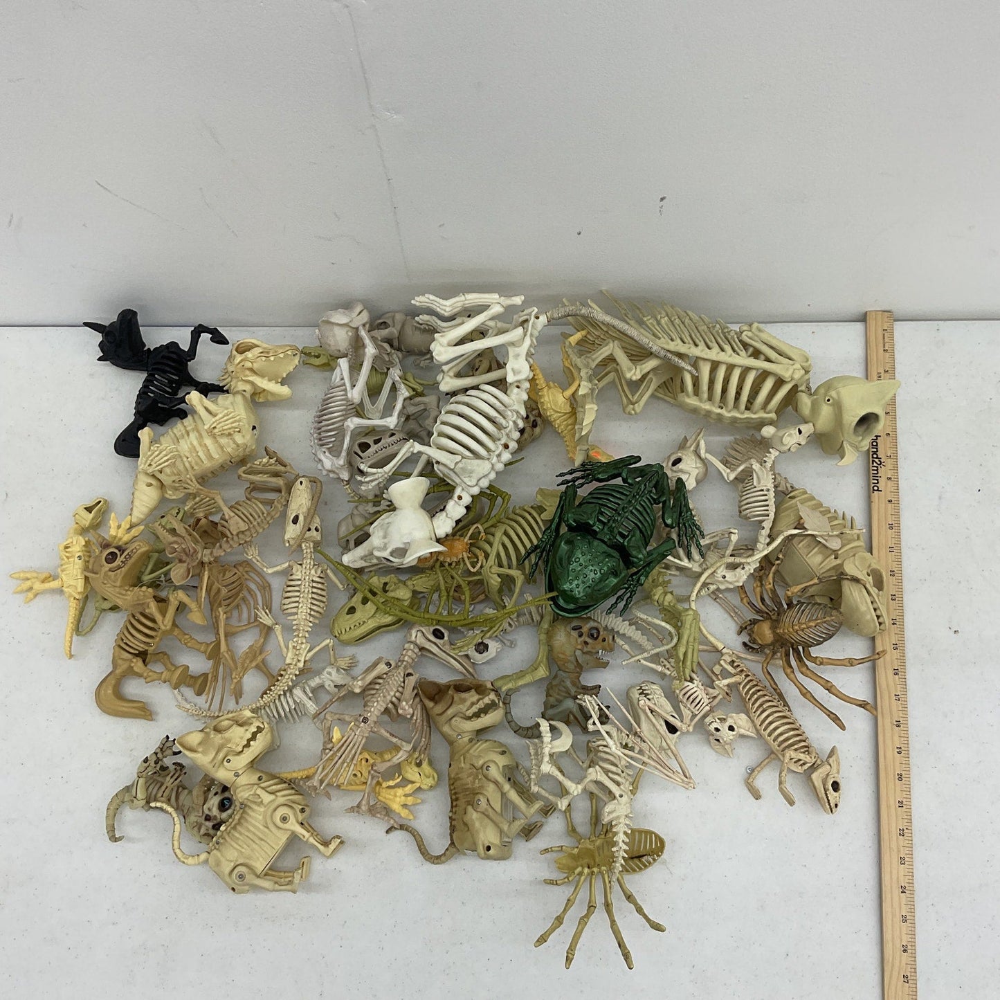 LOT Assorted Animal Fossil Skeleton Skeletal Halloween Model Figures Bones Toys - Warehouse Toys