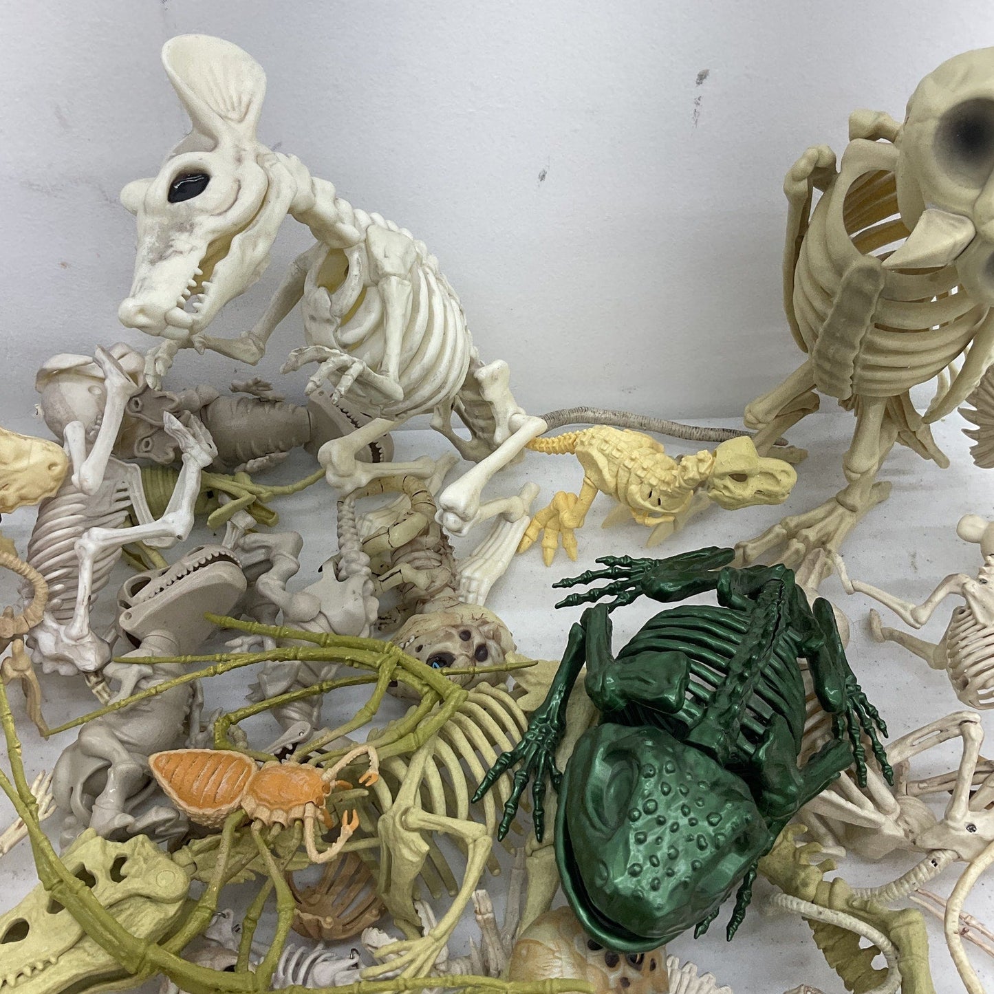 LOT Assorted Animal Fossil Skeleton Skeletal Halloween Model Figures Bones Toys - Warehouse Toys