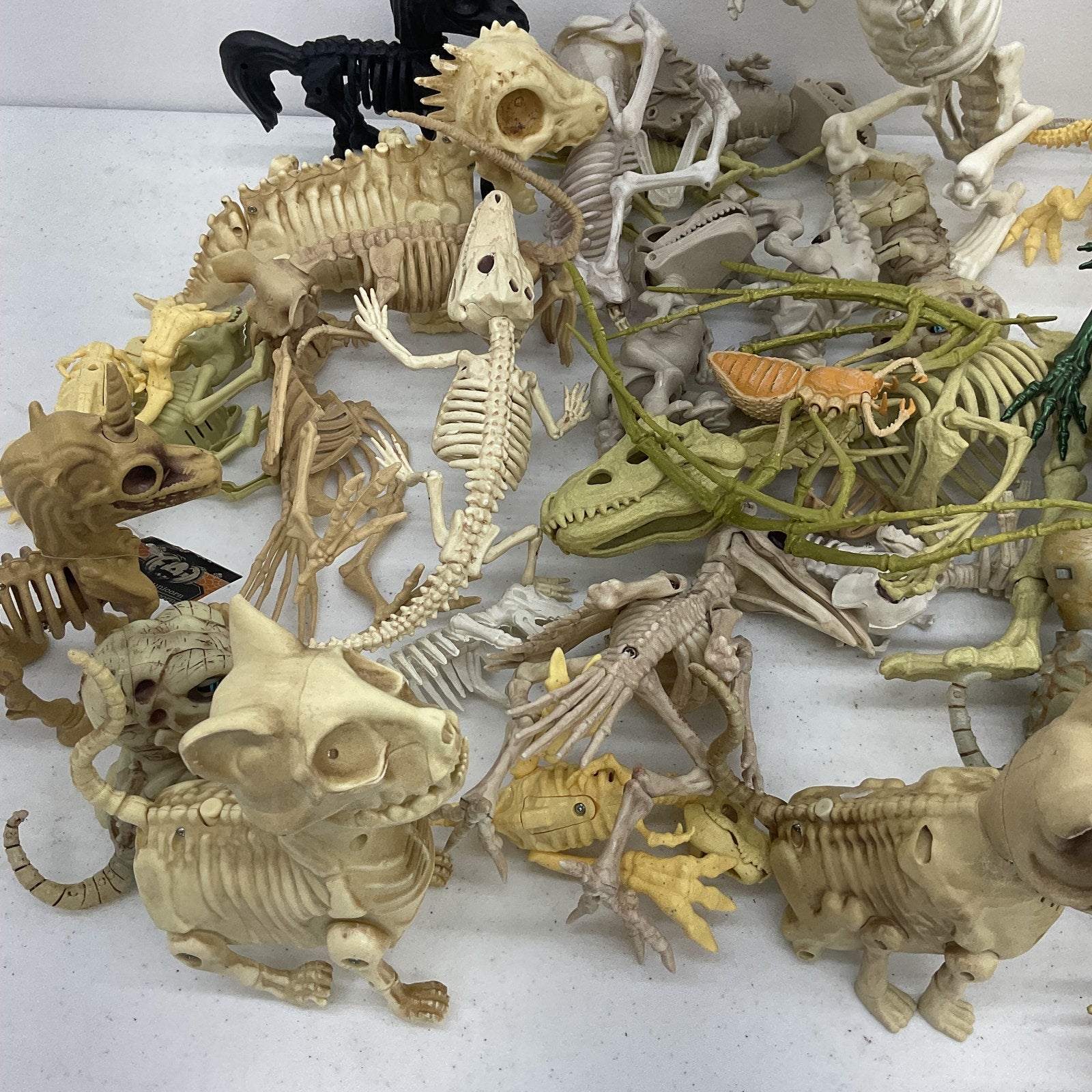 LOT Assorted Animal Fossil Skeleton Skeletal Halloween Model Figures Bones Toys - Warehouse Toys