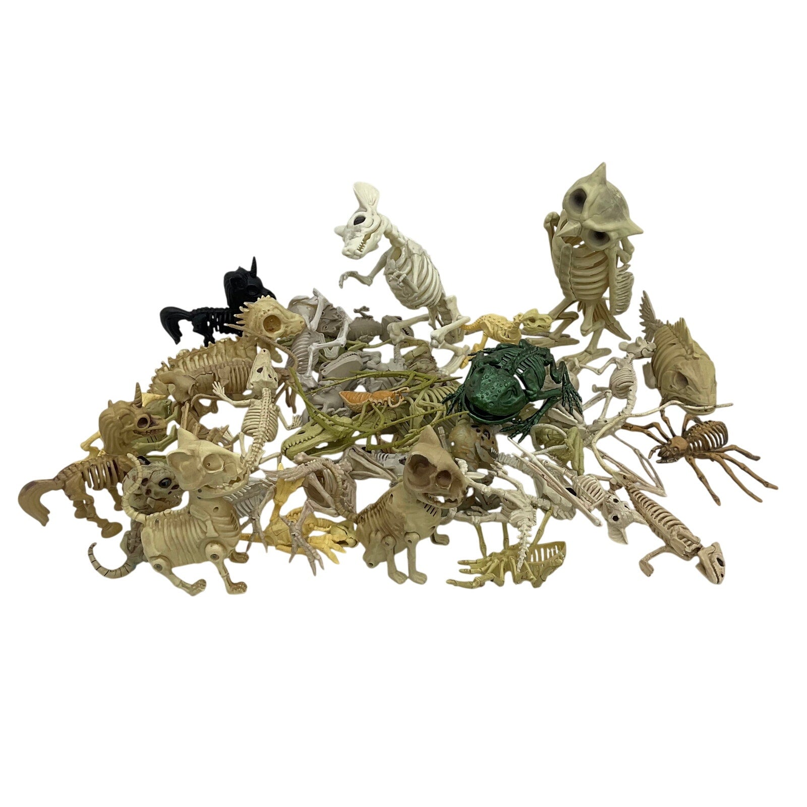 LOT Assorted Animal Fossil Skeleton Skeletal Halloween Model Figures Bones Toys - Warehouse Toys