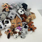 Mixed 12 lbs Preowned Pound Puppies Purries Cats Dogs Plush Stuffed Animals LOT - Warehouse Toys