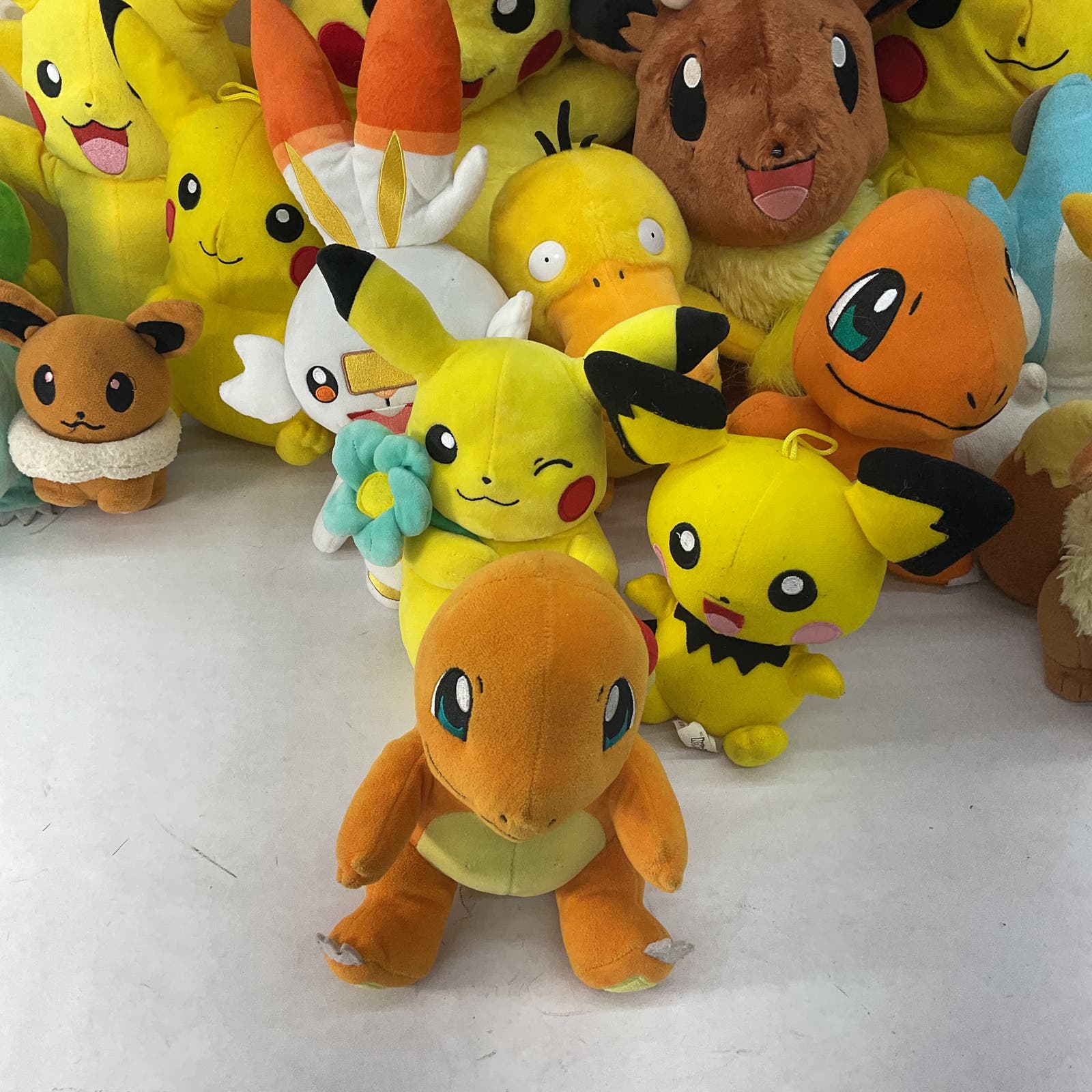 Pokemon newest character lot