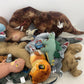 Preowned Jurassic World Park Dinosaur T - Rex Mixed LOT 13 lbs Stuffed Animals - Warehouse Toys