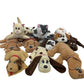 Preowned Pound Puppies Stuffed Animal Dog Toy Lot Wholesale Bulk - Warehouse Toys