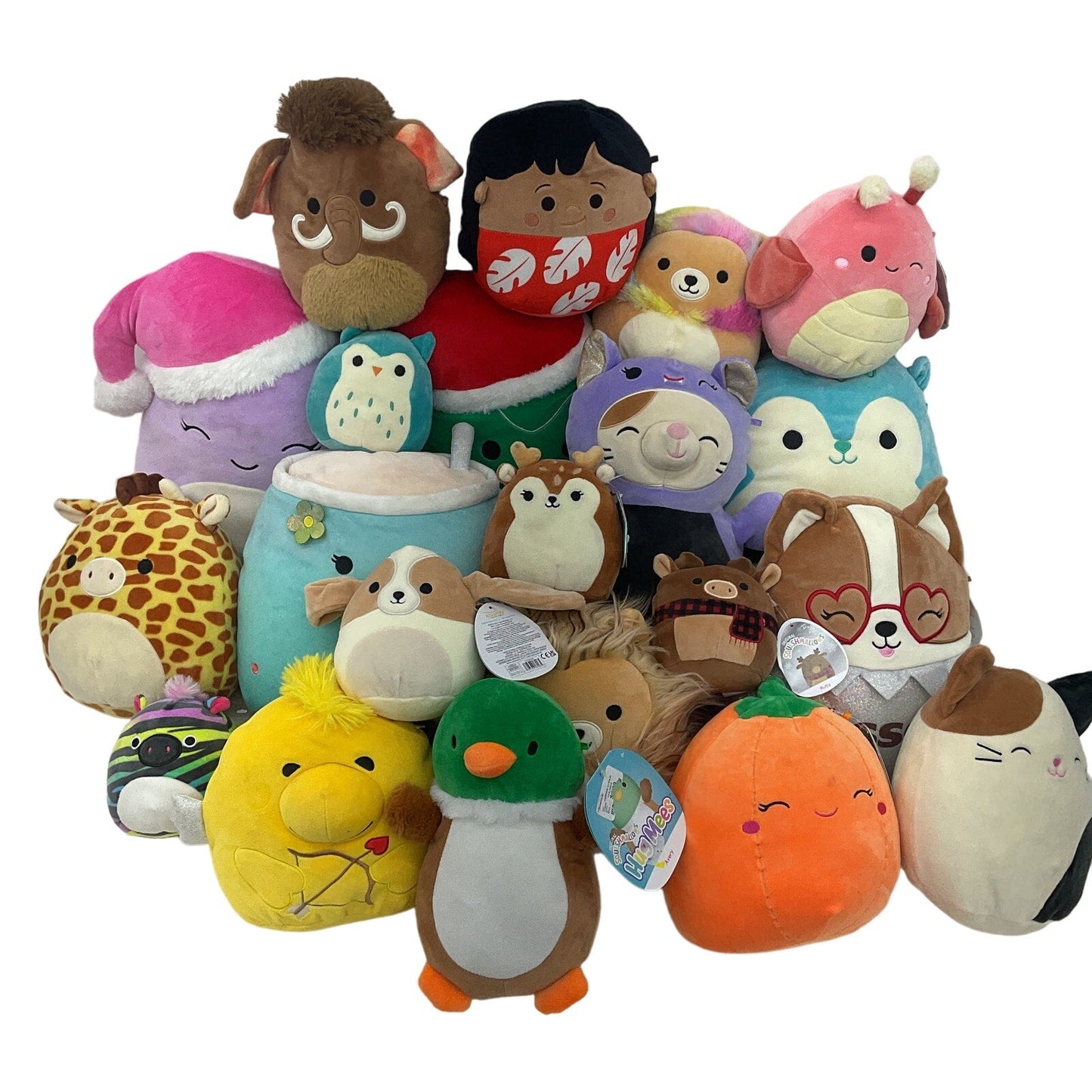 Preowned Squishmallows Plush LOT 13 lbs Mixed Characters Lilo Woodstock Mallard - Warehouse Toys