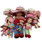 Preowned Strawberry Shortcake Character Plush Play Dolls Stuffed Toys LOT 5 lbs - Warehouse Toys