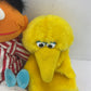 Sesame Street Yellow Bigbird Puppet Ernie Stuffed Animal - Toy & Hobbies - Warehouse Toys