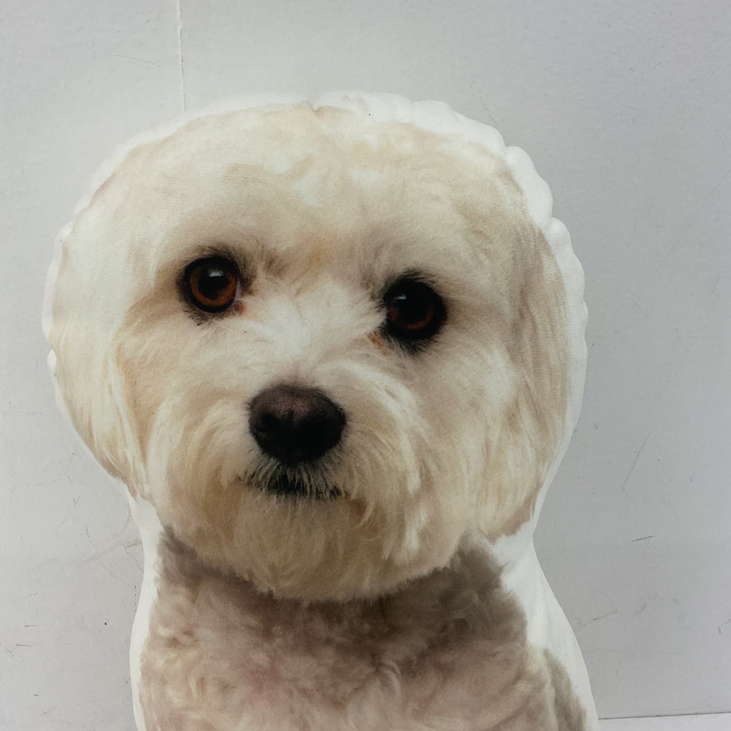 Small White Realistic Dog Photo Pillow Plush Toy - Warehouse Toys