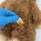 Star Wars Kenner Ewok Brown Stuffed Animal 80s ROTJ Plush - Warehouse Toys