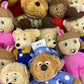 Used Mixed LOT Kohls Cares Berenstain Bears Mama Papa Bear Plush Dolls Arthur - Warehouse Toys