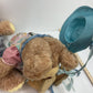 Vintage Xavier Roberts Dudley Furskin Teddy Bears Preowned - Warehouse Toys