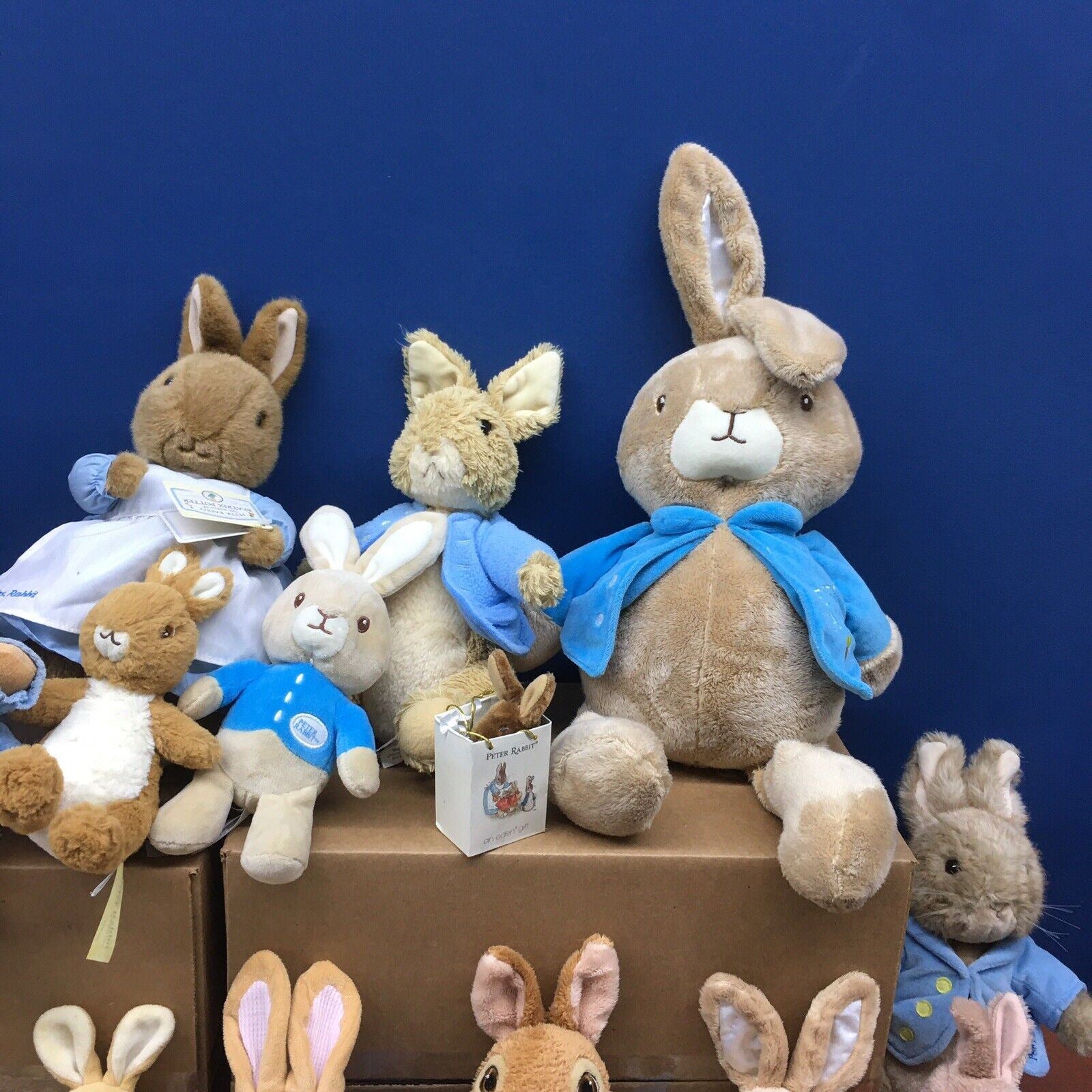 Eden store peter rabbit